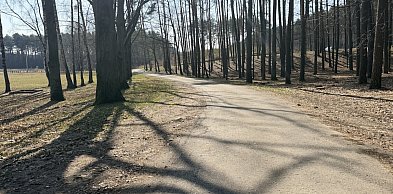 Rowerem pod Częstochową. Te trasy zachwycają lasami i spokojem