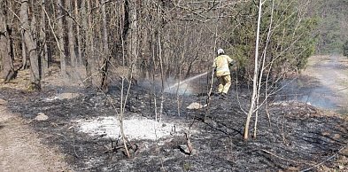 O krok od tragedii! Leśne pożary w gminie Zatory!