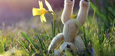 Nadchodzi wyż, a z nim słoneczna pogoda na święta!