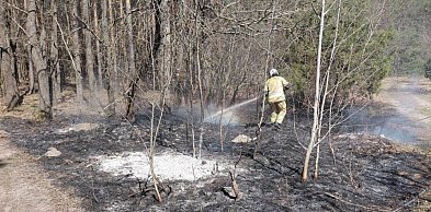 Seria zdarzeń w Pułtusku! Nawet kot potrzebował ratunku