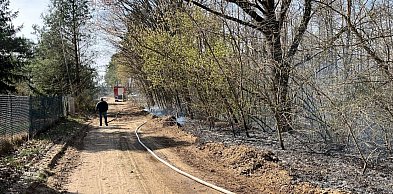 Niebezpieczny pożar w regionie! Strażacy walczyli z żywiołem