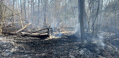 Alarm w Nadleśnictwie Pułtusk! Najwyższe zagrożenie pożarowe