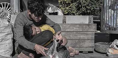 Nikt nie jest w stanie ich policzyć