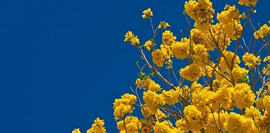 Pułtusk będzie czystszy niż kiedykolwiek? Sprawdź, co się wydarzy!