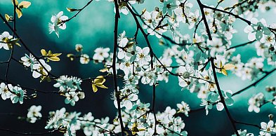 Sobota będzie najcieplejszym dniem tego weekendu, ale...