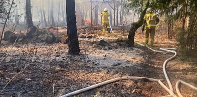 Sekundy od katastrofy! Leśniczy uratował życie i dom