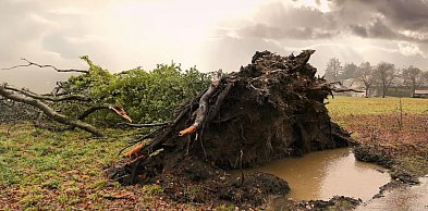 Ostrzeżenie pierwszego stopnia dla miejscowości Pułtusk i dla okolic
