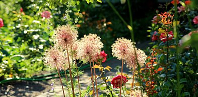 Majówka wyjątkowo ciepła i słoneczna; nawet do 28 st. C