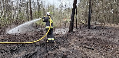 Na terenie pułtuskiego Nadleśnictwa najwyższe zagrożenie
