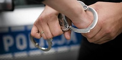 Akcja policji. Zatrzymania w powiecie pułtuskim