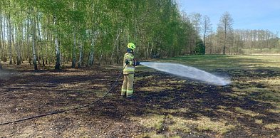 Niebezpieczny tydzień w powiecie pułtuskim! Strażacy interweniowali 30 razy