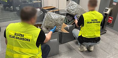 50 kg marihuany o wartości prawie 2,5 mln zł. ukryte w odzieży