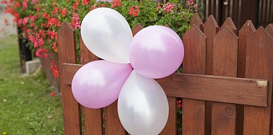 Zbadano ile goście weselni przeznaczają na prezent dla młodej pary
