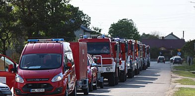 Pożar lasu w powiecie wołomińskim; na miejscu 65 zastępów straży