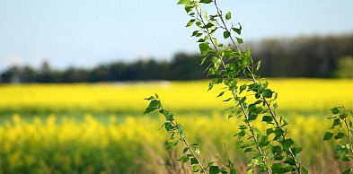 Najbliższe dwa dni przyniosą stopniową poprawę pogody