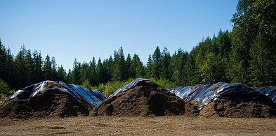 Bioodpady pod Płocochowem. Co planuje komunalna spółka?-32063