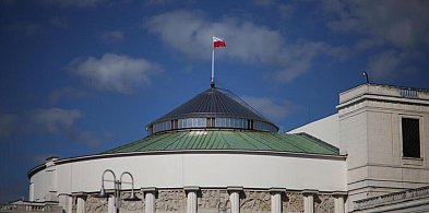 „Patoposłowie” i alkohol w Sejmie. Jak zmieniały się obyczaje parlamentarne-32827