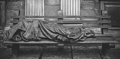 Szukają schronisk. Chodzi o bezdomnych z gminy-34497