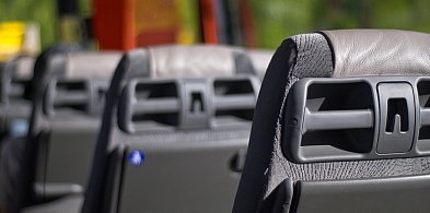 Nowe linie autobusowe w Pułtusku. Mamy pierwszy rozkład jazdy!-34843