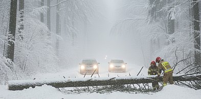 Sylwester i Nowy Rok pod znakiem syren strażackich-34972