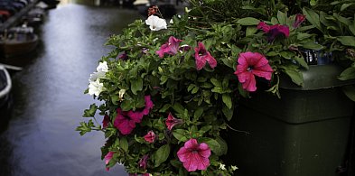 Wielkie wydatki w Pułtusku. Tego spodziewajmy się w 2026 roku