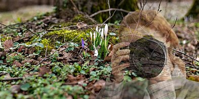 Wiosna w Pułtusku startuje wcześniej. Zobacz atrakcje