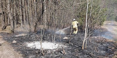Seria zdarzeń w Pułtusku! Nawet kot potrzebował ratunku
