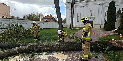 Chaos po wichurze! Zniszczenia w Pułtusku i okolicach