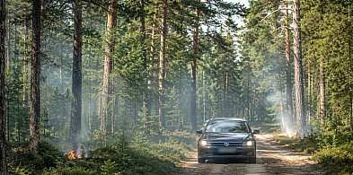 "Płomień Zero 26” w Nadleśnictwie Pułtusk. Leśnicy ostrzegają