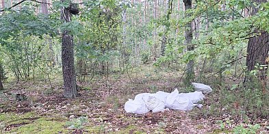 Takich „prezentów” w lesie nikt nie chciał-31847