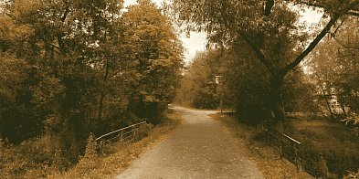 Ponad 2 km dróg do przebudowy-34365