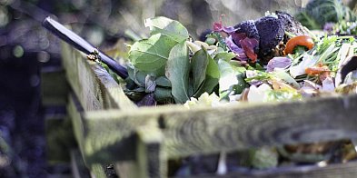 Zdecydowali się policzyć... kompost!