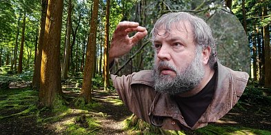 Akcja Bezpośrednia w lasach Pułtuska