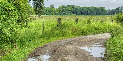 Błoto znika raz na zawsze! Rusza przebudowa drogi
