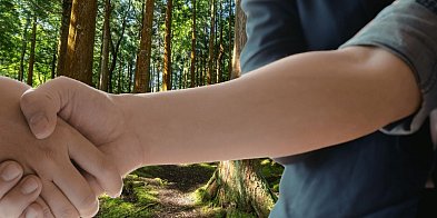 Sprzedaż lasu w regionie Pułtuska?