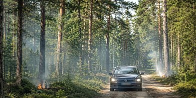 "Płomień Zero 26” w Nadleśnictwie Pułtusk
