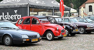 Citroëny opanowały rynek w Pułtusku-32038