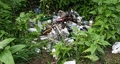 Małpki hojnie sypią kasą! Gmina Pułtusk liderem w powiecie!-33224