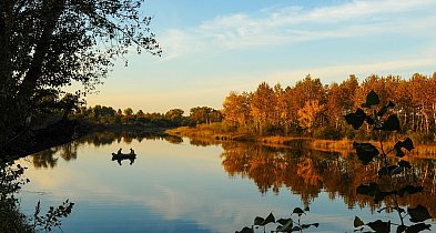 Rolne, budowlane, rekreacyjne – listopad przyniósł lawinę ofert!-34335