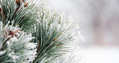 Dużo śniegu i mróz. Pogoda na weekend-35158