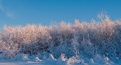 W najbliższych dniach rozpogodzenia, opady śniegu i mróz do minus 25 st. C