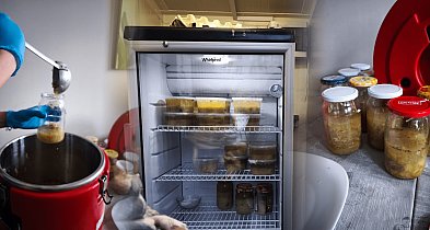 „Dobro się gotuje” w Pułtusku. Kto stoi za pełną lodówką?