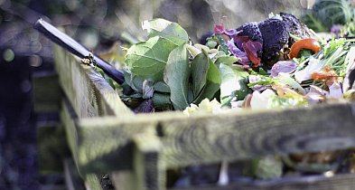 Zdecydowali się policzyć... kompost!