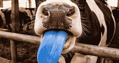 Rolnicy muszą wiedzieć. Pułtusk w strefie zagrożenia