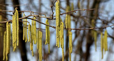 Weekend słoneczny, z temperaturami do 15 st. C; od poniedziałku cieplej!