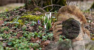 Wiosna w Pułtusku startuje wcześniej. Zobacz atrakcje