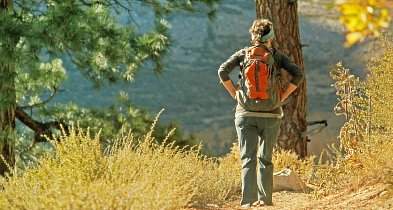 Diecezja przygotowuje pielgrzymkę śladami św. Stanisława Kostki