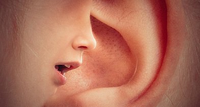 Anonimowe zgłoszenia w Pułtusku. Sprawdź, jak to działa