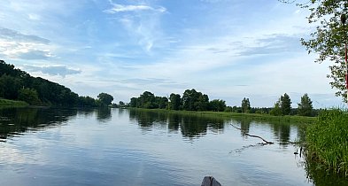 Narew w Pułtusku to ukryty skarb? Eksperci nie mają wątpliwości