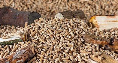 Ogrzewanie domu? Wiemy który rodzaj paliw jest najdroższy